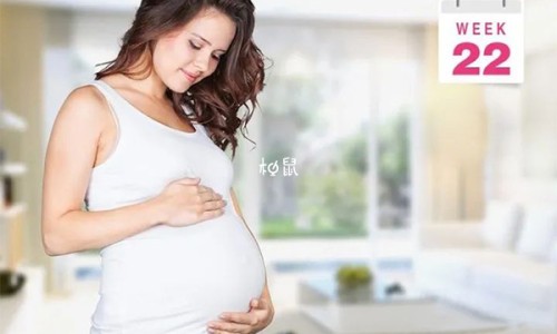 药用半枝莲长什么样子网—知名的半枝莲的药用网站,分享中药半枝莲长什么样知识