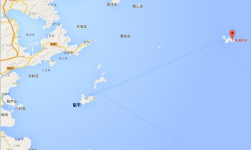 半枝莲有什么用-药用半枝莲长什么样子网—知名的半枝莲的药用网站,分享中药半枝莲长什么样知识