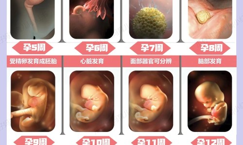 药用半枝莲长什么样子网—知名的半枝莲的药用网站,分享中药半枝莲长什么样知识