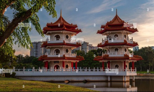 药用半枝莲长什么样子-药用半枝莲长什么样子网—知名的半枝莲的药用网站,分享中药半枝莲长什么样知识